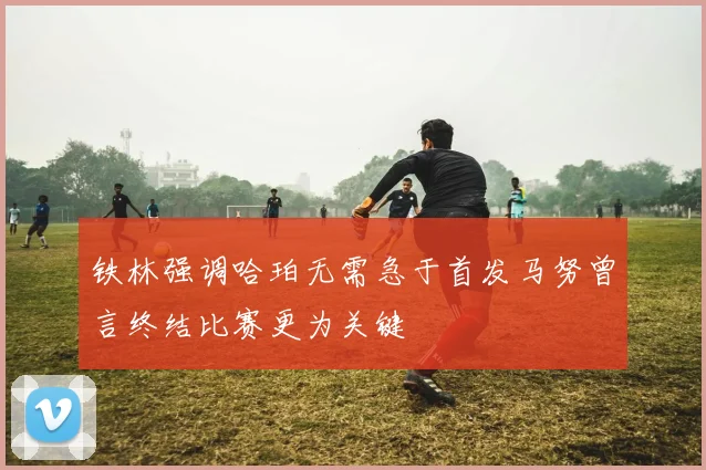 铁林强调哈珀无需急于首发马努曾言终结比赛更为关键