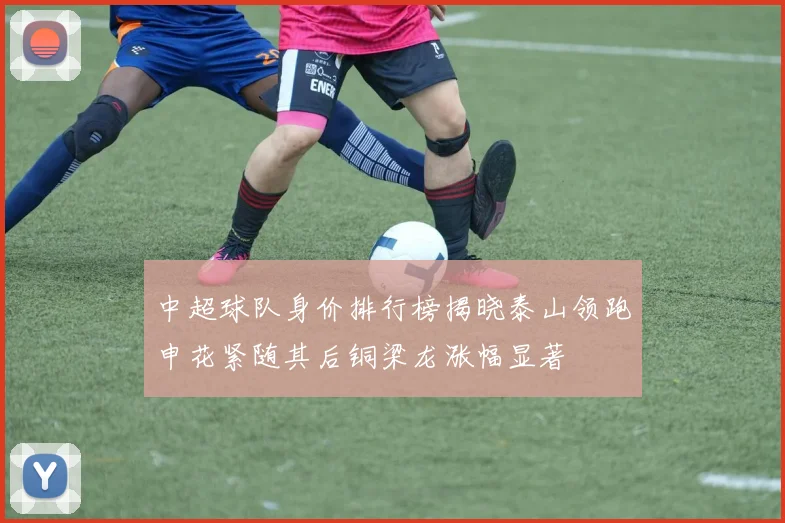 中超球队身价排行榜揭晓泰山领跑申花紧随其后铜梁龙涨幅显著